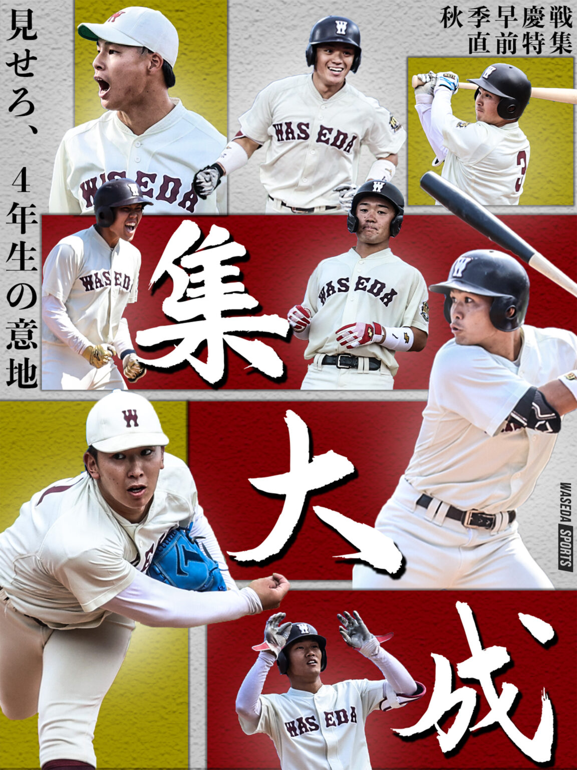 11/1・11/2 野球部、集大成の早慶戦へ – 早稲田大学 競技スポーツセンター