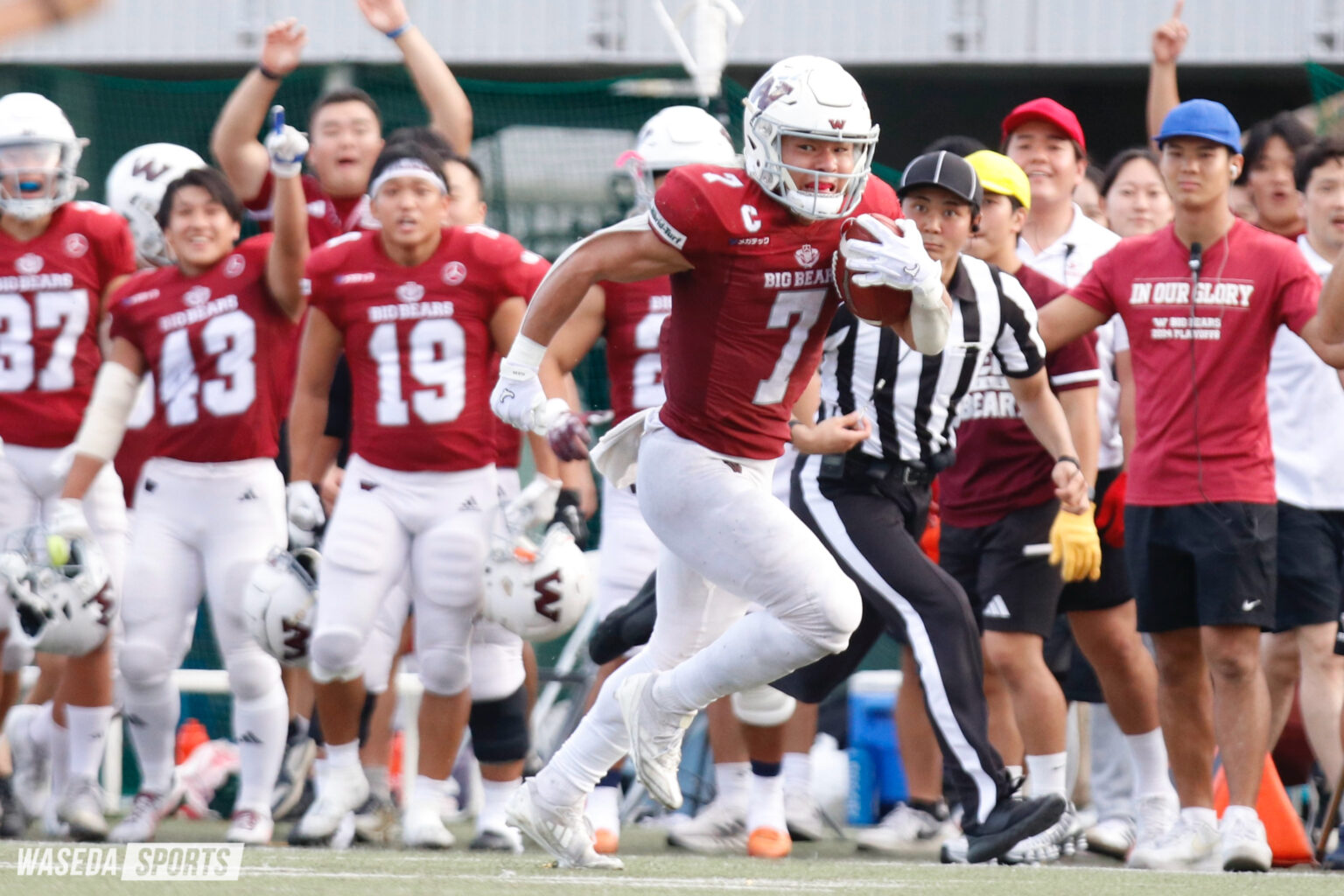 adidas × 早稲田ビッグベアーズ 早稲田大学米式蹴球部パーカー Lサイズ adidas × 早稲田ビッグベアーズ 早稲田大学米式蹴球部パーカー Lサイズ