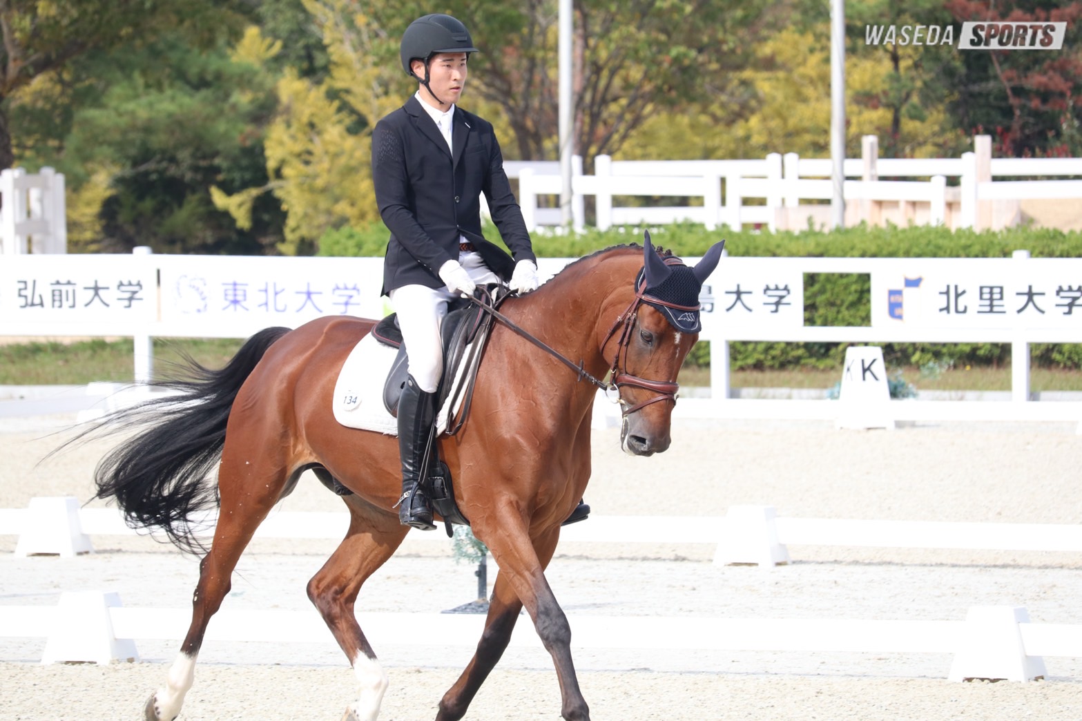 馬術部 圧巻 細野が総合馬術個人3連覇！ – 早稲田大学 競技スポーツ