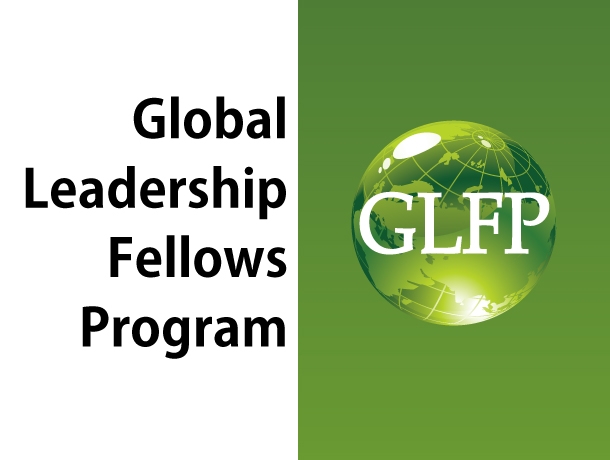 Global Leadership Fellows Program