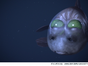 ②デメニギス（CG）