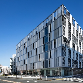 早稲田大学 早稲田大学政治経済学部、2027年度から新カリキュラム導入 －英語