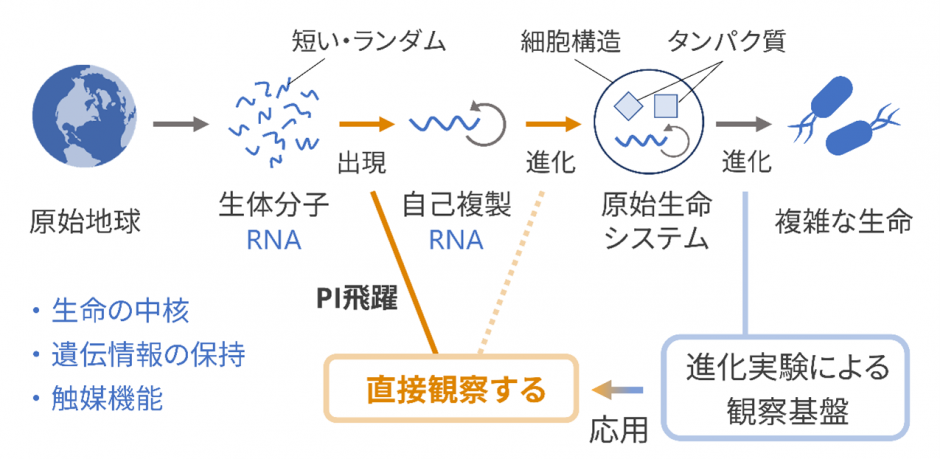 ありえた生命の起源過程と、水内氏がPI飛躍プログラムでアプローチする自己複製RNAの出現・進化の位置づけ