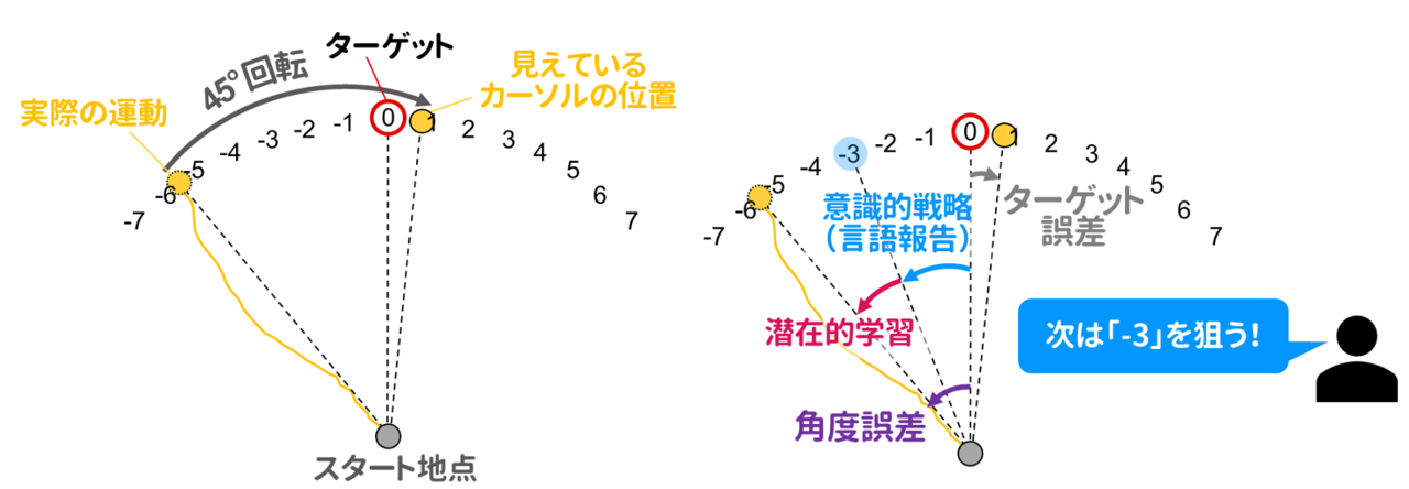 運動学習の戦略にひそむ認知バイアス～意識されない文化差が運動学習に与える影響～