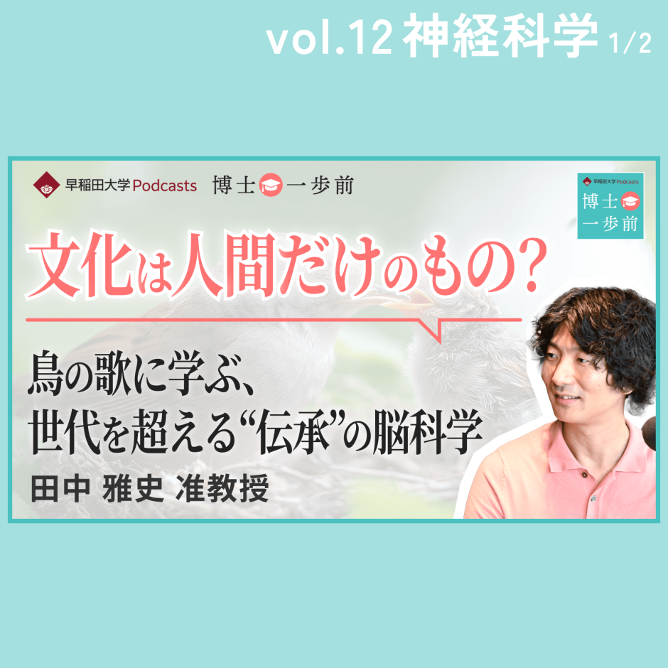 早稲田大学Podcast「文化は人間だけのもの？ー鳥の歌に学ぶ、世代を