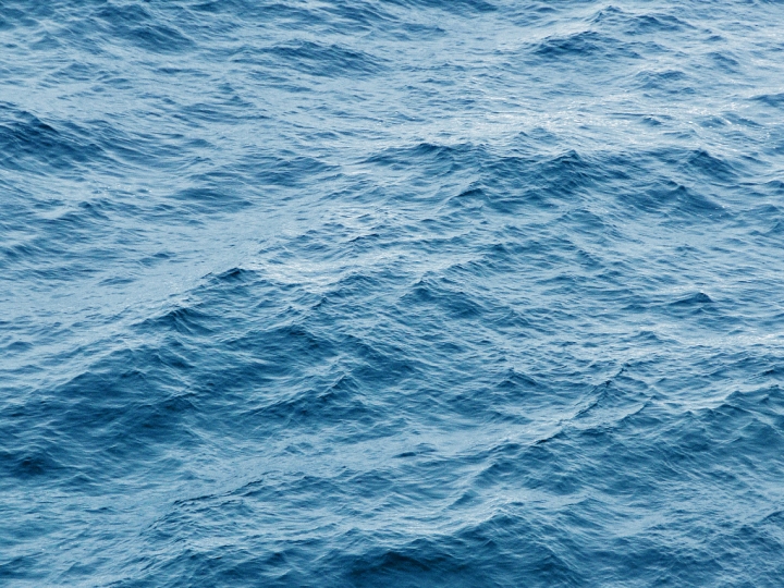Waseda Ocean 構想について