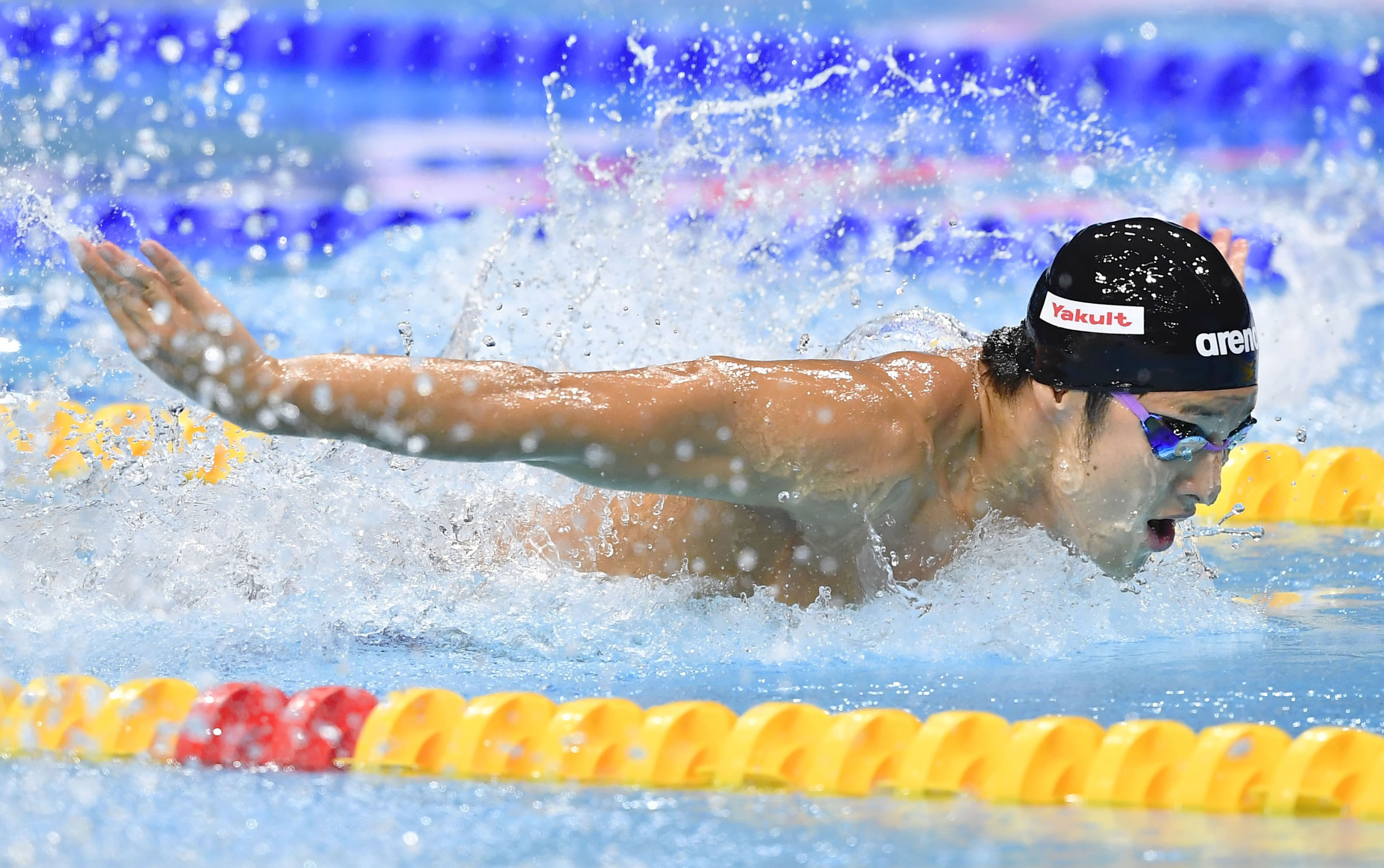 男子200mバタフライ決勝 力泳する瀬戸大也選手。ブダペスト(共同)