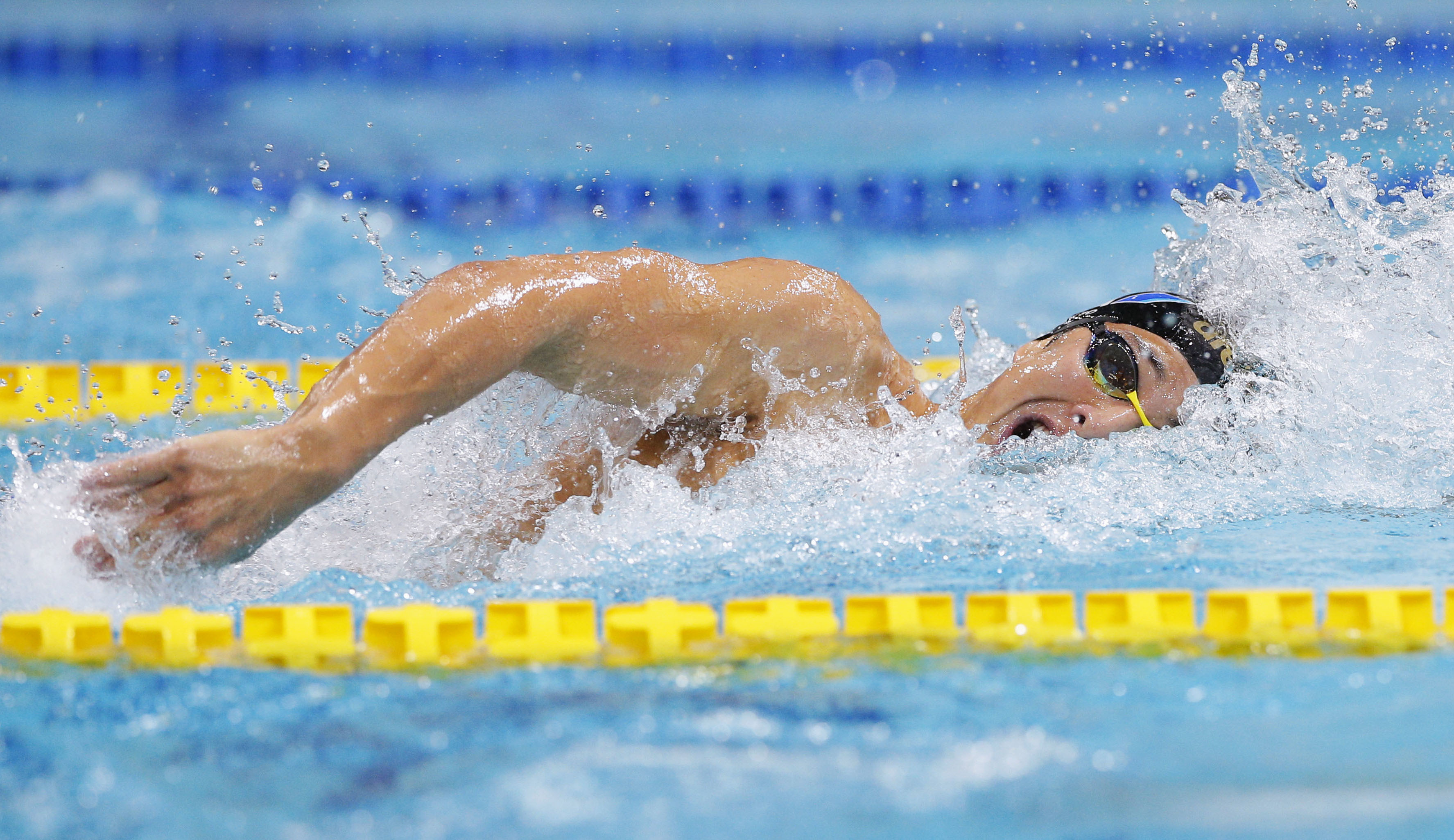 水泳 大会 選手 の 聖水