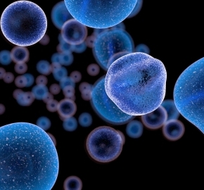 がん患者の悪液質診断基準の有病率・全生存期間への影響 – Global