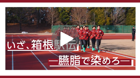 早稲田大学競走部｜箱根駅伝へ取材会後・独自インタビューで語る現在地― いざ、箱根駅伝―臙脂で染めろ―