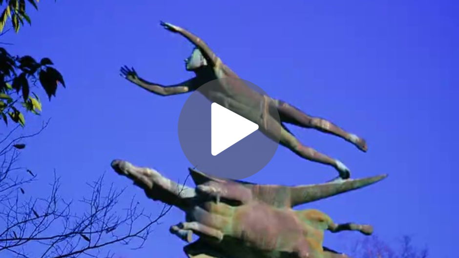 Shapes of Tokorozawa Campus, Waseda University