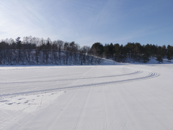 【活動報告：地域連携ワークショップ】木島平村のプログラム（2025年度）が終了しました