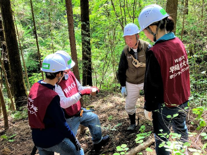 【開催レポート】高尾の森づくりボランティア　－除伐を通じた森林整備の実践－