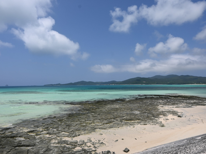 【開催報告】『久米島の「食」と地域価値創造シンポジウム』を開催しました