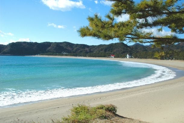 弓ヶ浜全景