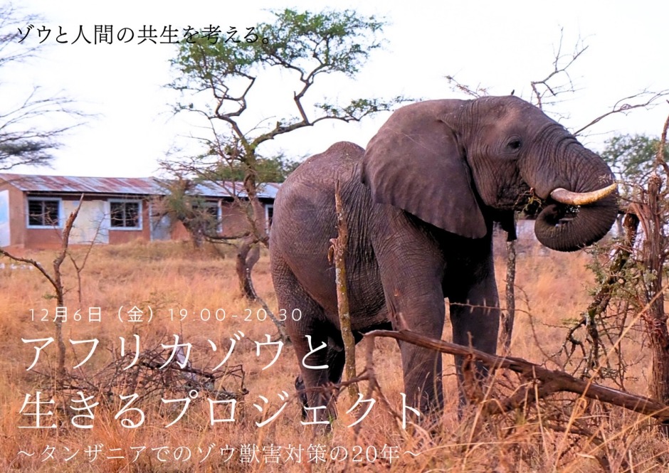締切】オンラインセミナー「タンザニアでのゾウ獣害対策の20年