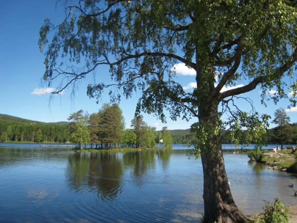 Lake where I often took walks near the dormitory
