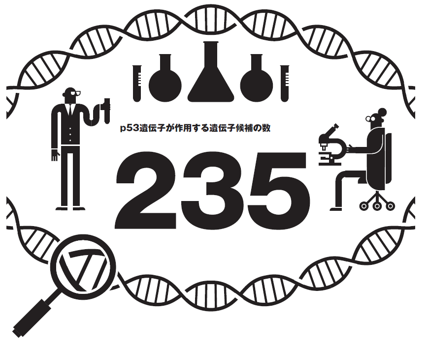 数字から考える未来】p53遺伝子が作用する遺伝子候補の数 – 早稲田