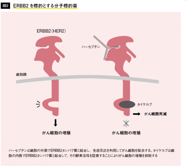 キャプチャ5