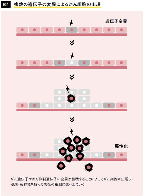 キャプチャ6