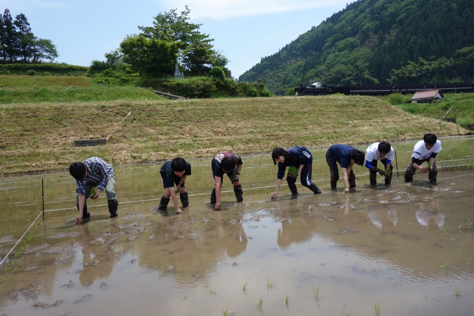 活動の様子③