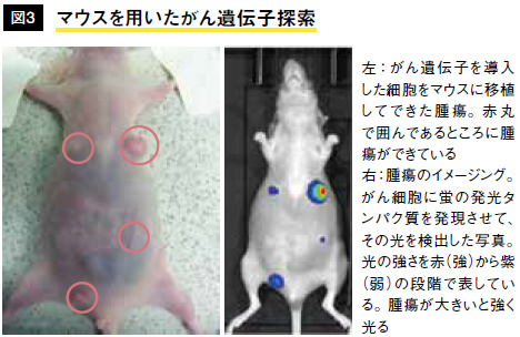 キャプチャ4
