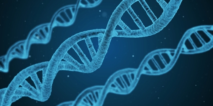 How do we inherit genes from our parents? – Waseda Weekly