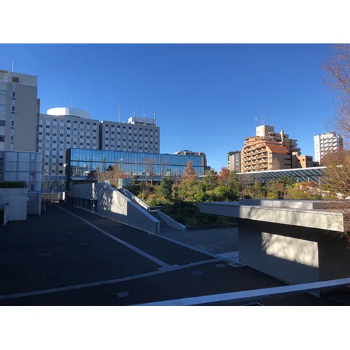 ある冬の日、キャンパス散策