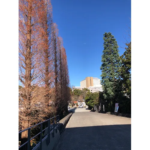 私が行く未来へ