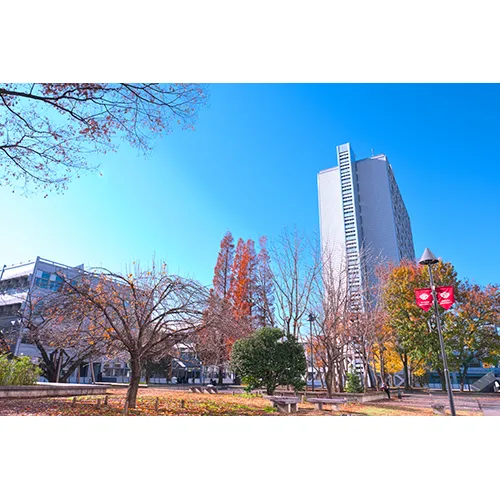 色に染まらぬ白亜の塔