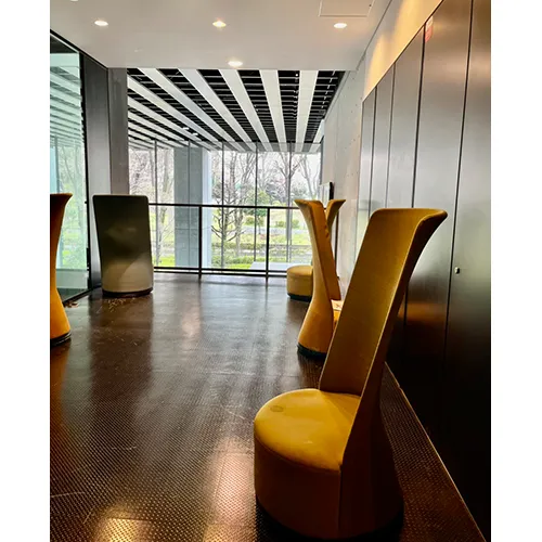 リコキャンの一面