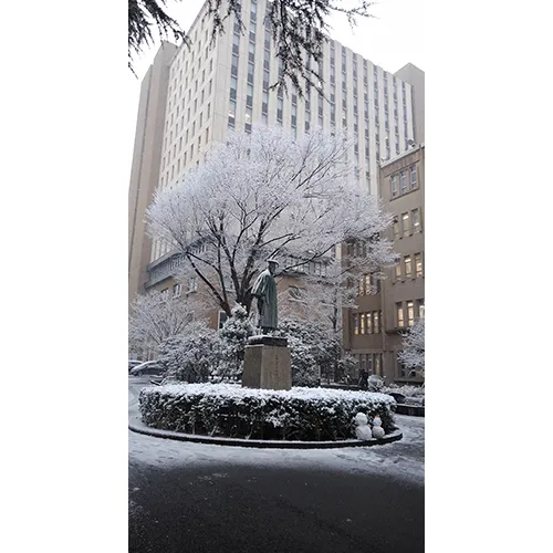 雪中大隈像