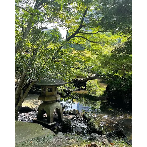 晴れた日の大隈庭園