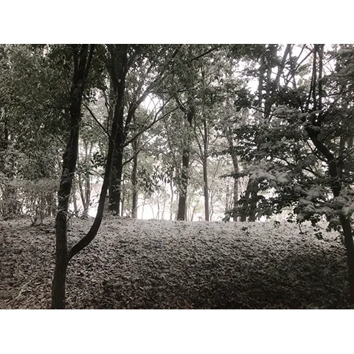 授業が終わると遭難してます