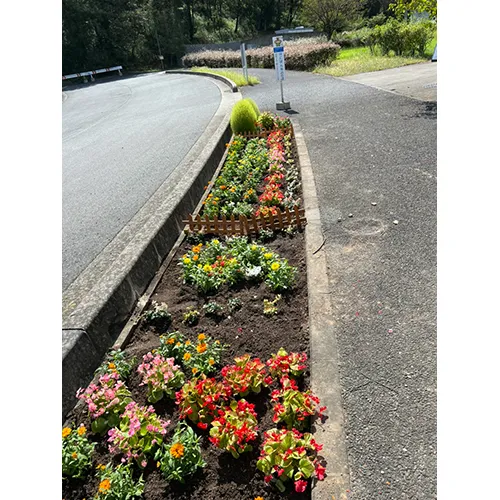 本庄キャンパス名物「早稲田フラワーロード」