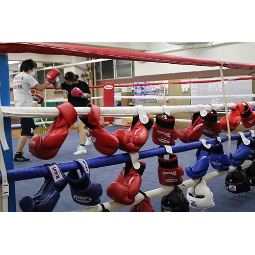 （タイトルなし）