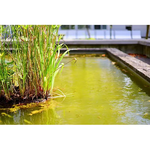 （タイトルなし）