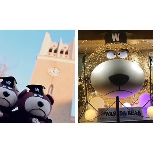 ワセダベア登場