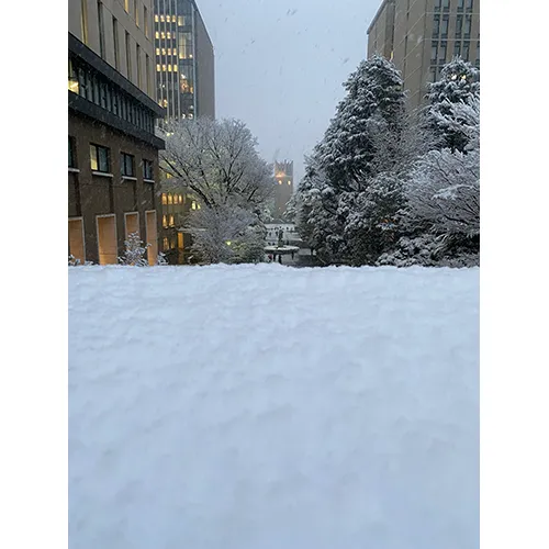 ふかふかの雪