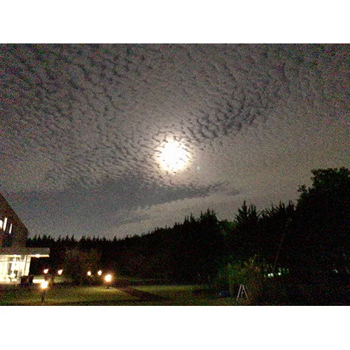 ご褒美ひとり占め