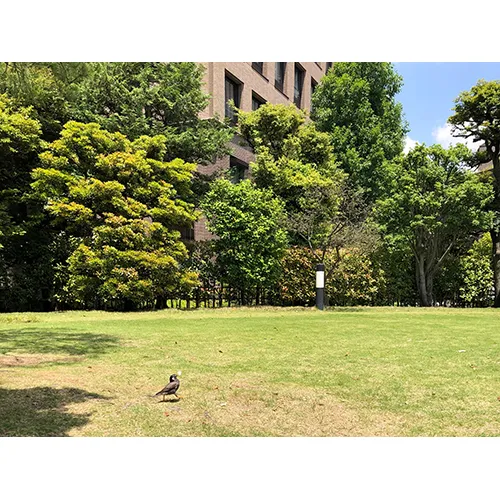 学生証を貰いに