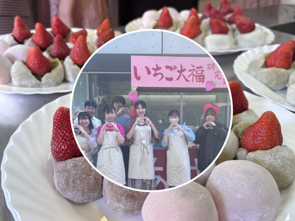 日本初のいちご大福研究インカレサークル 商品開発・販売も実現