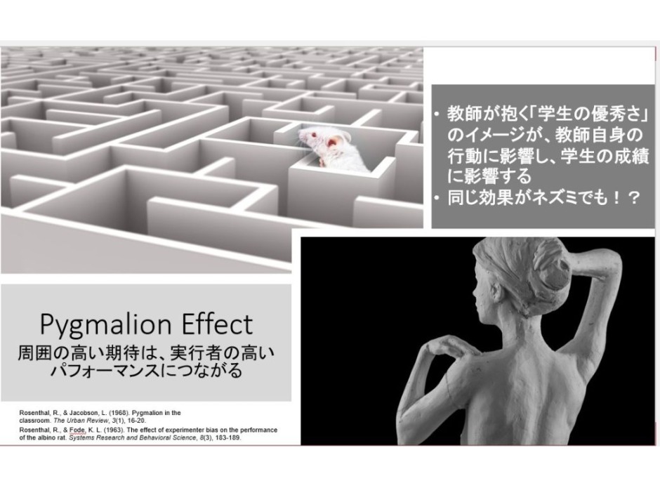 なぜ人はこう動く？ 組織行動論で学ぶ人間の行動メカニズム – 早稲田