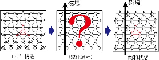 山本先生：図1