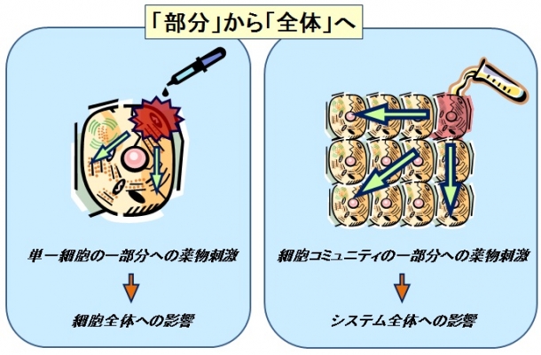 枝川先生_図1