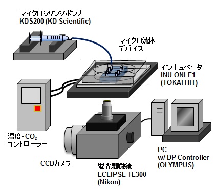 枝川先生_図2