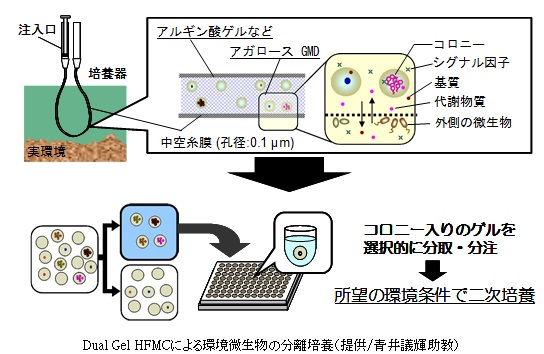 技術の常識を打ち破る 微生物を分離培養する新戦略 青井議輝 助教 09年5月当時 早稲田大学 高等研究所