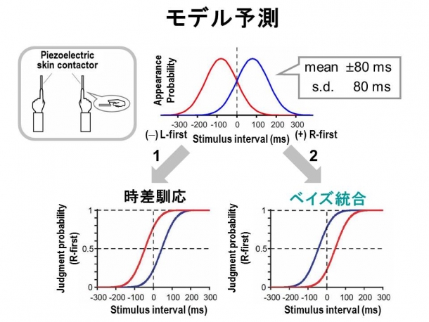 図（宮崎先生）