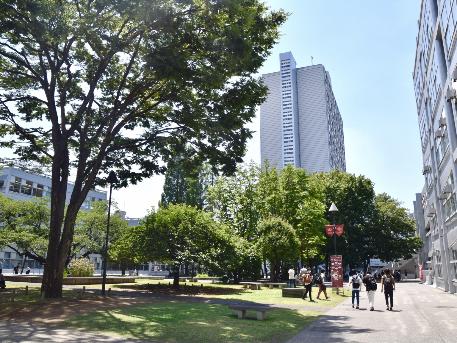 ニュース 早稲田大学 芸術学校