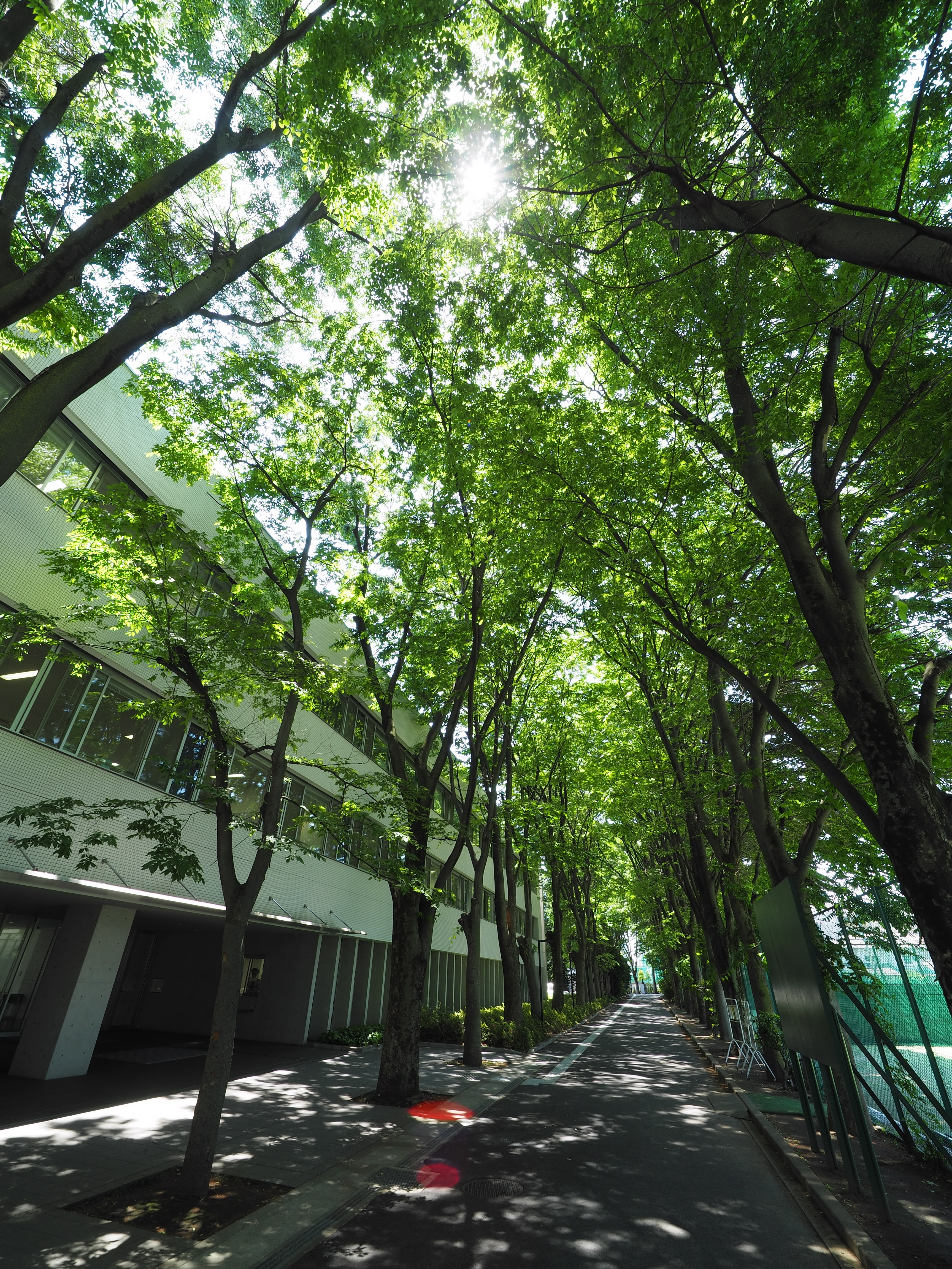 入学試験情報 早稲田大学 高等学院 中学部